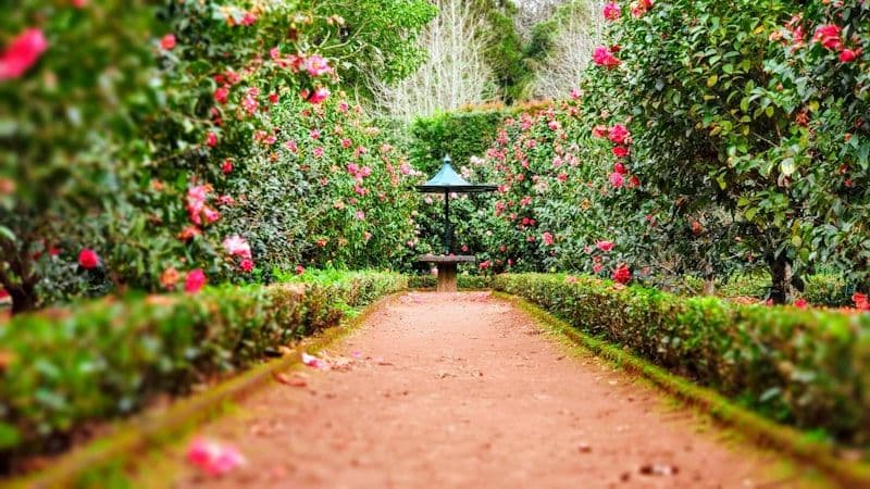 Paysagiste / Jardinier - 1