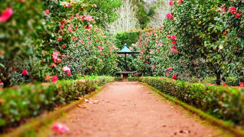 Paysagiste / Jardinier